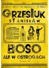 BOSO ALE W OSTROGACH