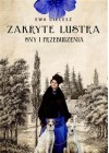 Zakryte lustra. Sny i przebudzenia